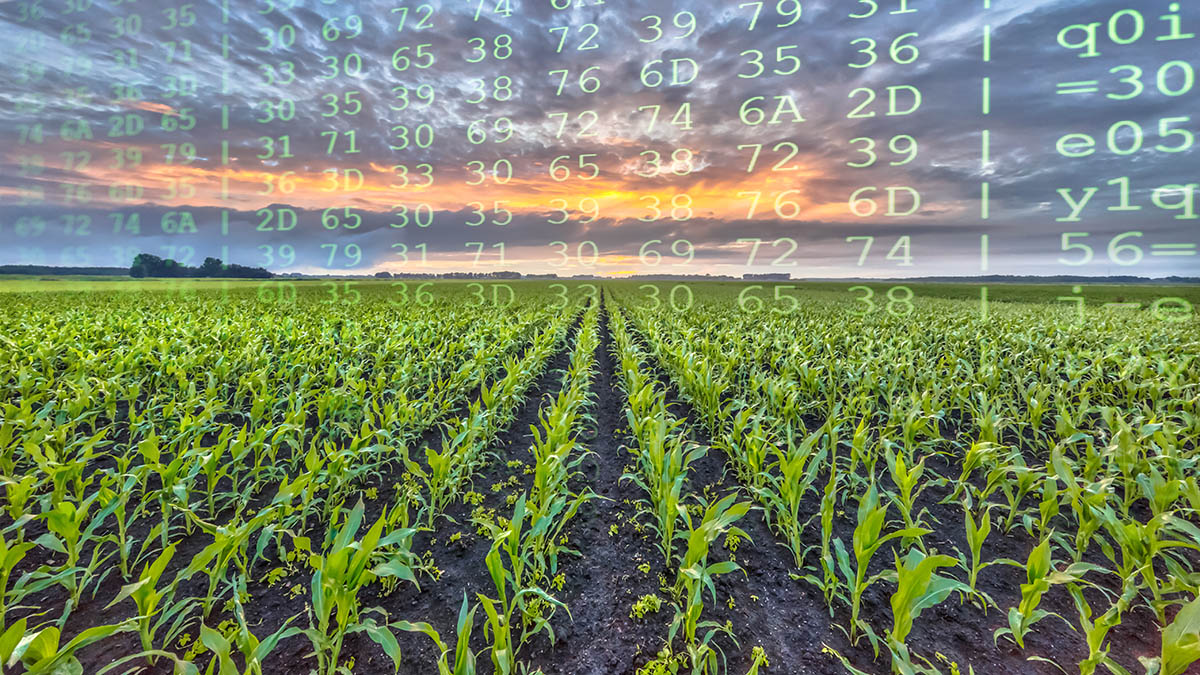 Growing profitability with data in the field.